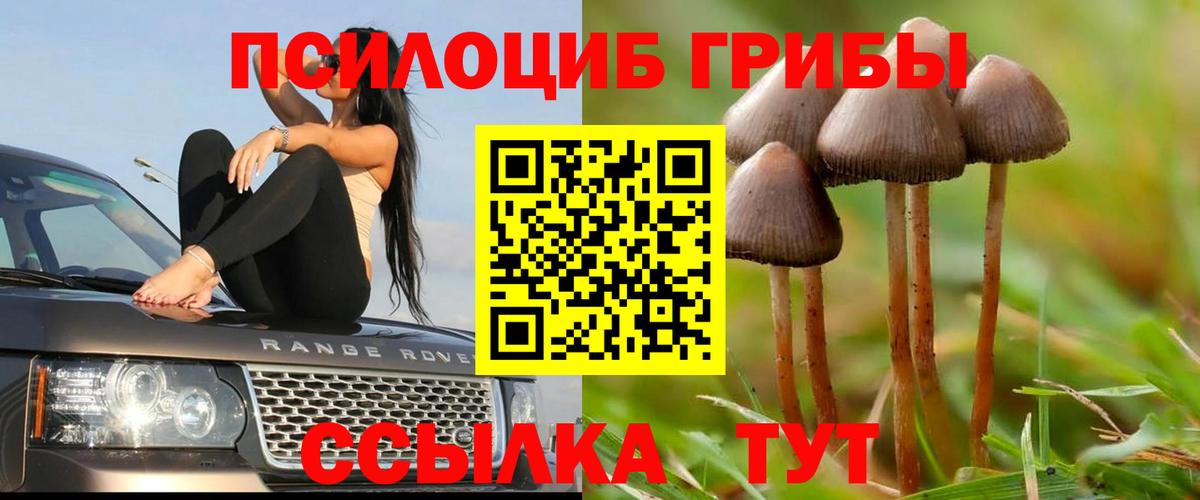 Галлюциногенные грибы мицелий Шелехов