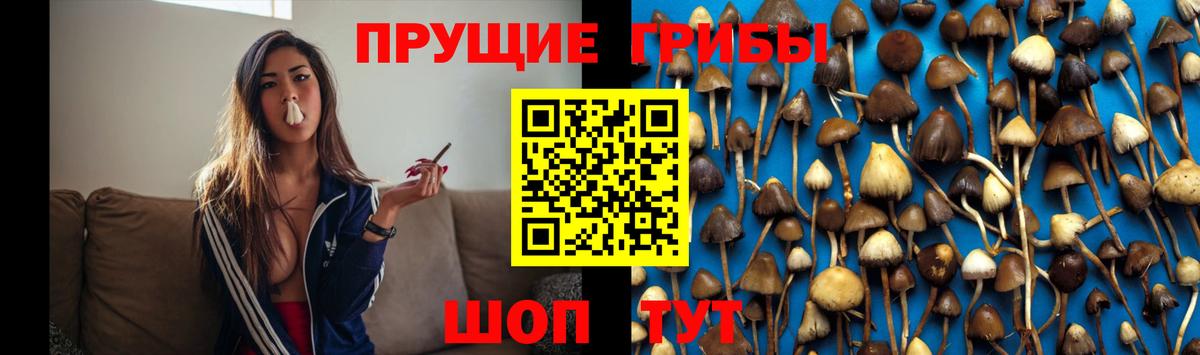 купить  цена  Галлюциногенные грибы MAGIC MUSHROOMS  Шелехов  Вход с VPN  Галлюциногенные грибы мухоморы 